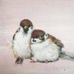 Vögel Bird Spatz Spätze sparrow